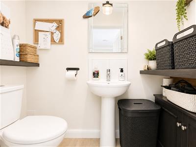 Picture 7
